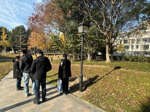 余姚市望湖公園綠化補植工程順利通過驗收，城市生態景觀再添新綠