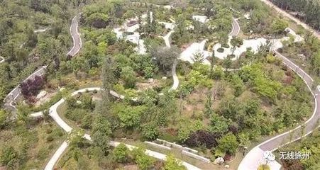 新法嚴懲彰顯決心，徐州生態建設再譜新篇