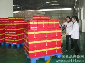 黑龍江塔河縣 互聯(lián)網(wǎng)創(chuàng)業(yè)園啟動，引領(lǐng)綠色食品加工業(yè)踏上“云”征程